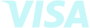 Visa logo